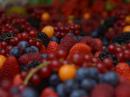 Maszyny do przetwórstwa