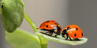 Jakie błędy dietetyczne popełniamy najczęściej?