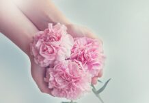 Czy można mieć 2 gospodarstwa domowe?