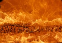 Jak wycenić markę firmy?