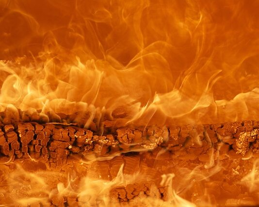 Jak wycenić markę firmy?