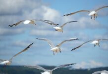 Jak rozwinąć swoje social media?