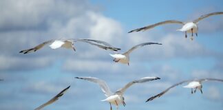 Jak rozwinąć swoje social media?