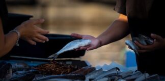 Jak sprzedawać więcej?