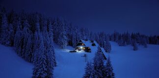 Co powinno być kluczowym celem dla działu sprzedaży?