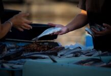 Jak dobrze sprzedawać door to door? Jak dobrze sprzedawać door to door?