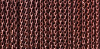 Na czym polega więź emocjonalna?