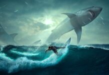 Co jeść aby szybko schudnąć z brzucha?