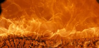 Jak zbudować swoją markę?