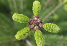 Czego może brakować w związku?