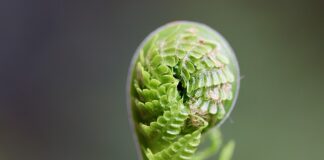 Jak rozwijać umiejętności interpersonalne?