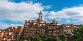 Co zaliczamy do nowoczesnych form i metod rozwoju zawodowego?