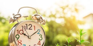 Czy menedżer zarządza działem sprzedaży?