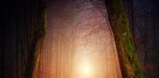 Kto płaci rachunki w małżeństwie?