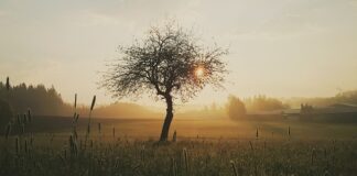 Kiedy bliską osobą rani?