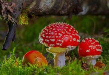 Kiedy znajomość jest toksyczną?