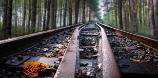 Co przyciąga uwagę w internecie?