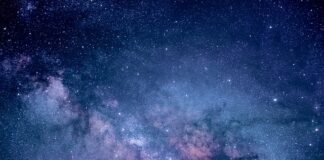 Jak badać potrzeby klientów?