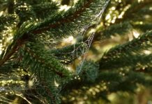 Jak poznać potrzeby klienta? Jak poznać potrzeby klienta?