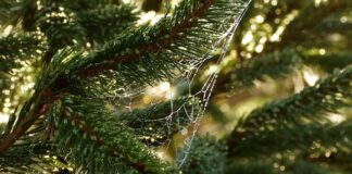 Jak poznać potrzeby klienta?