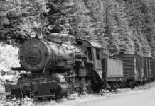 Kto to jest PR owiec? Kto to jest PR owiec?