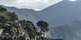 Ile kosztuje miesięczne utrzymanie?