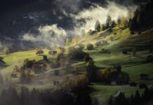 Jak wyrobić poranna rutynę?