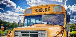 Jak promować swoją firmę na rynku lokalnym? Jak promować swoją firmę na rynku lokalnym?