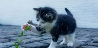 Co jest istotne w kontakcie i budowaniu relacji z klientem?