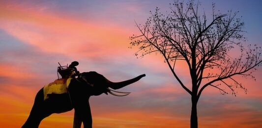 Gdzie zawierać nowe znajomości?