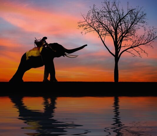 Gdzie zawierać nowe znajomości?