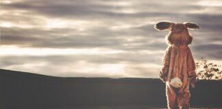 Jak stworzyć indywidualny plan rozwoju?