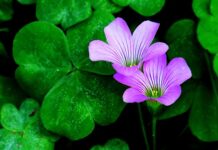 Jak przyciągnąć uwagę odbiorców?