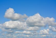 W jakim terminie pracownik otrzymuje informację o warunkach zatrudnienia?