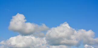 W jakim terminie pracownik otrzymuje informację o warunkach zatrudnienia?