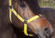 Jaki kantor walutowy wybrać?