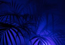 Czy PPK to koszt wynagrodzeń? Czy PPK to koszt wynagrodzeń?