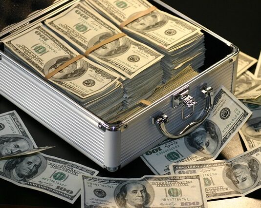 Ile zarabia Flipper?