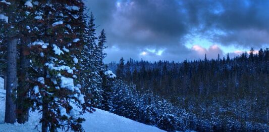 Czy po licencjacie ma się przygotowanie pedagogiczne?