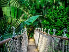 Z którego dnia kurs euro?