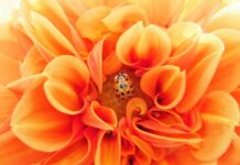 Jak efektywnie współpracować z rodzicami?