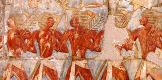 Jakie ulgi ma dzieci z orzeczeniem o niepełnosprawności? Jakie ulgi ma dzieci z orzeczeniem o niepełnosprawności?