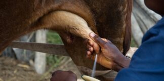 Co jeśli nie dostanę wypłaty na czas? Co jeśli nie dostanę wypłaty na czas?