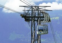 Ile jest grup żywności?