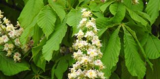 Ile lat po maturze można iść na studia?