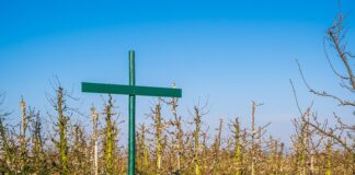 Czy konieczne jest wprowadzenie regulaminu pracy zdalnej?