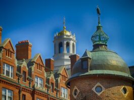 Ile ludzi z Polski dostaje się na Harvard? Ile ludzi z Polski dostaje się na Harvard?