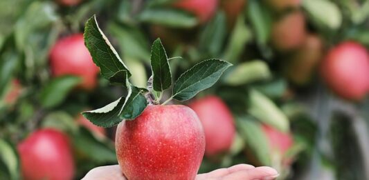 Jak podziękować za ofertę współpracy?