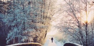 Kiedy opłaca się przejść na własną działalność?