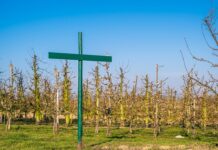 Czy szkoła musi mieć regulamin pracy zdalnej?